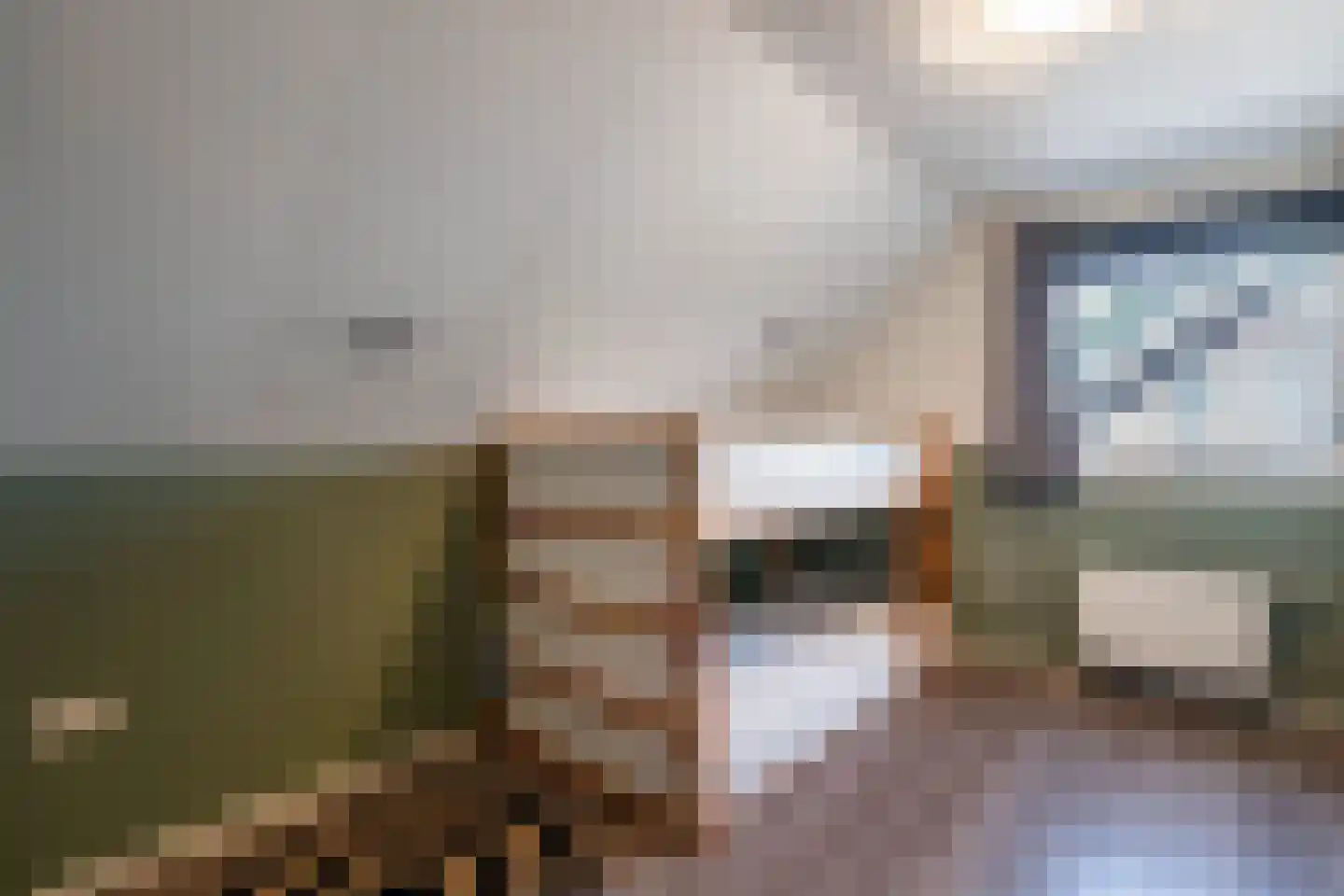 Feansterdyk 41 Akkrum thumbnail 42