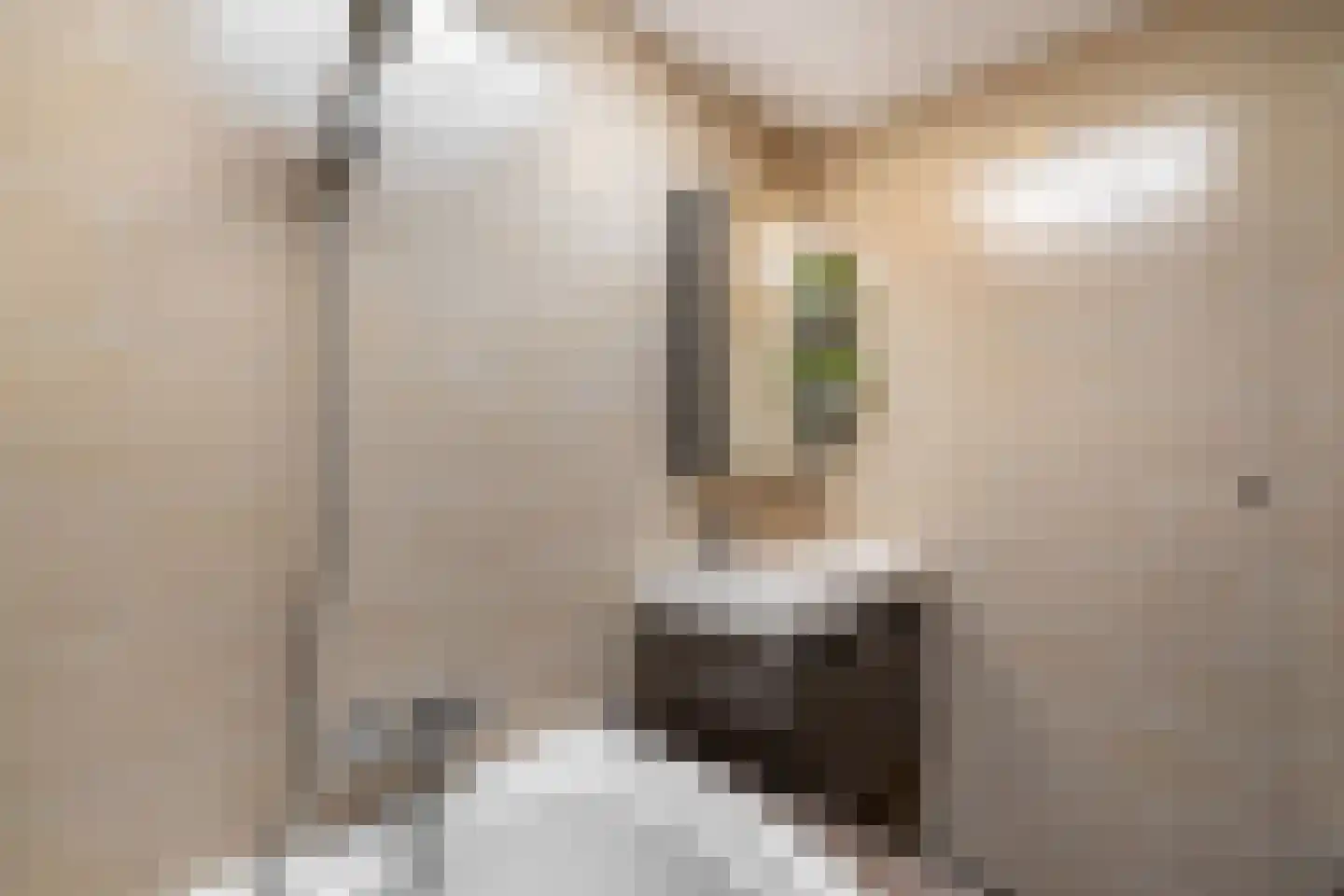 Feansterdyk 41 Akkrum thumbnail 48