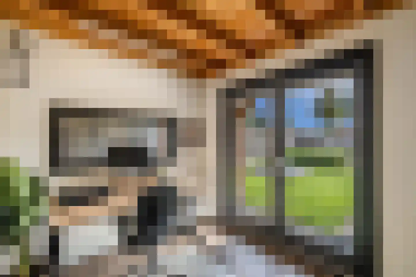 Feansterdyk 41 Akkrum thumbnail 5