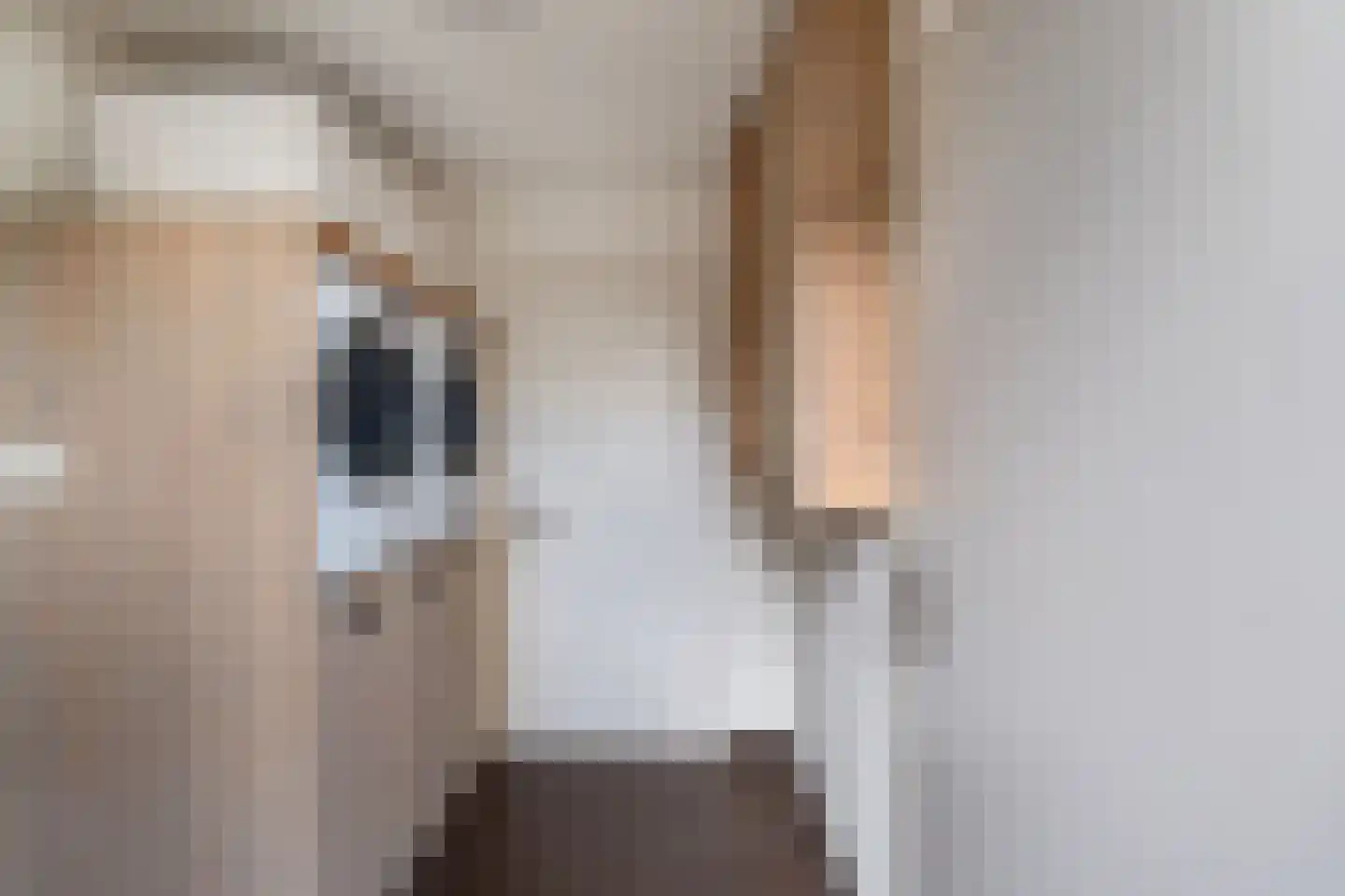 Feansterdyk 41 Akkrum thumbnail 50