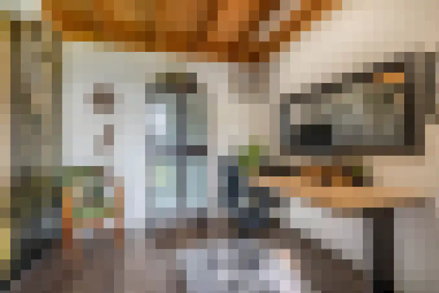Feansterdyk 41 Akkrum thumbnail 51