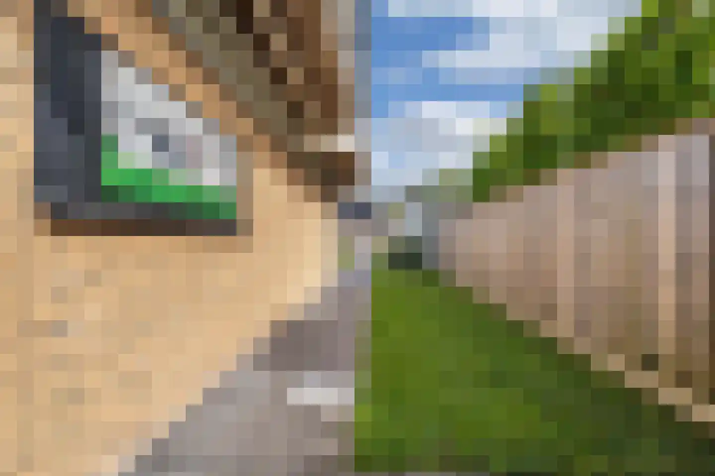 Feansterdyk 41 Akkrum thumbnail 54