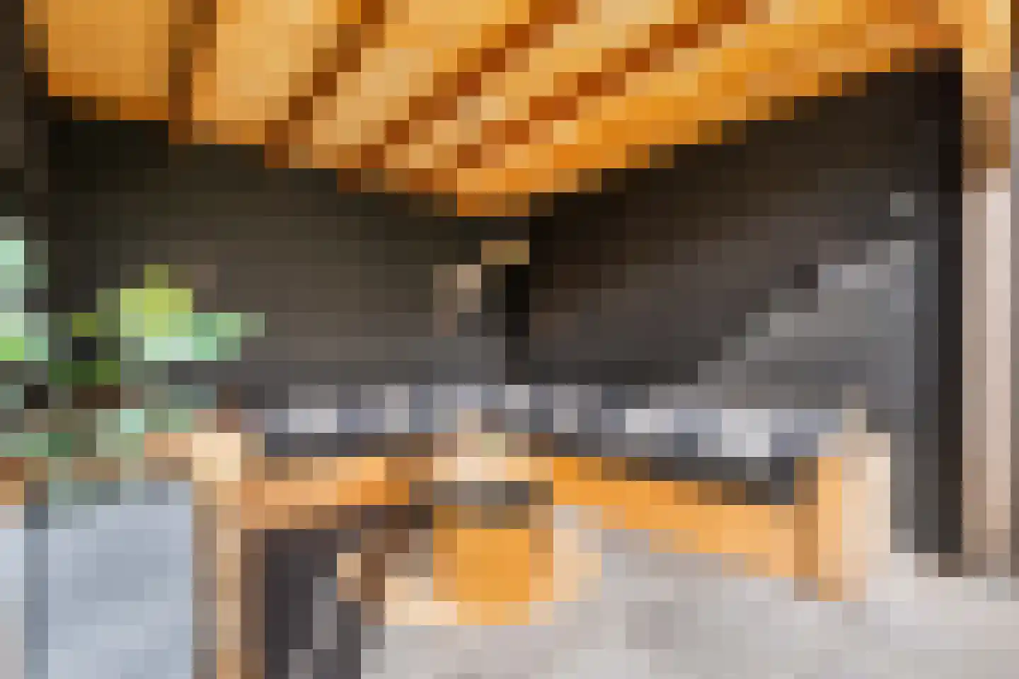 Feansterdyk 41 Akkrum thumbnail 58