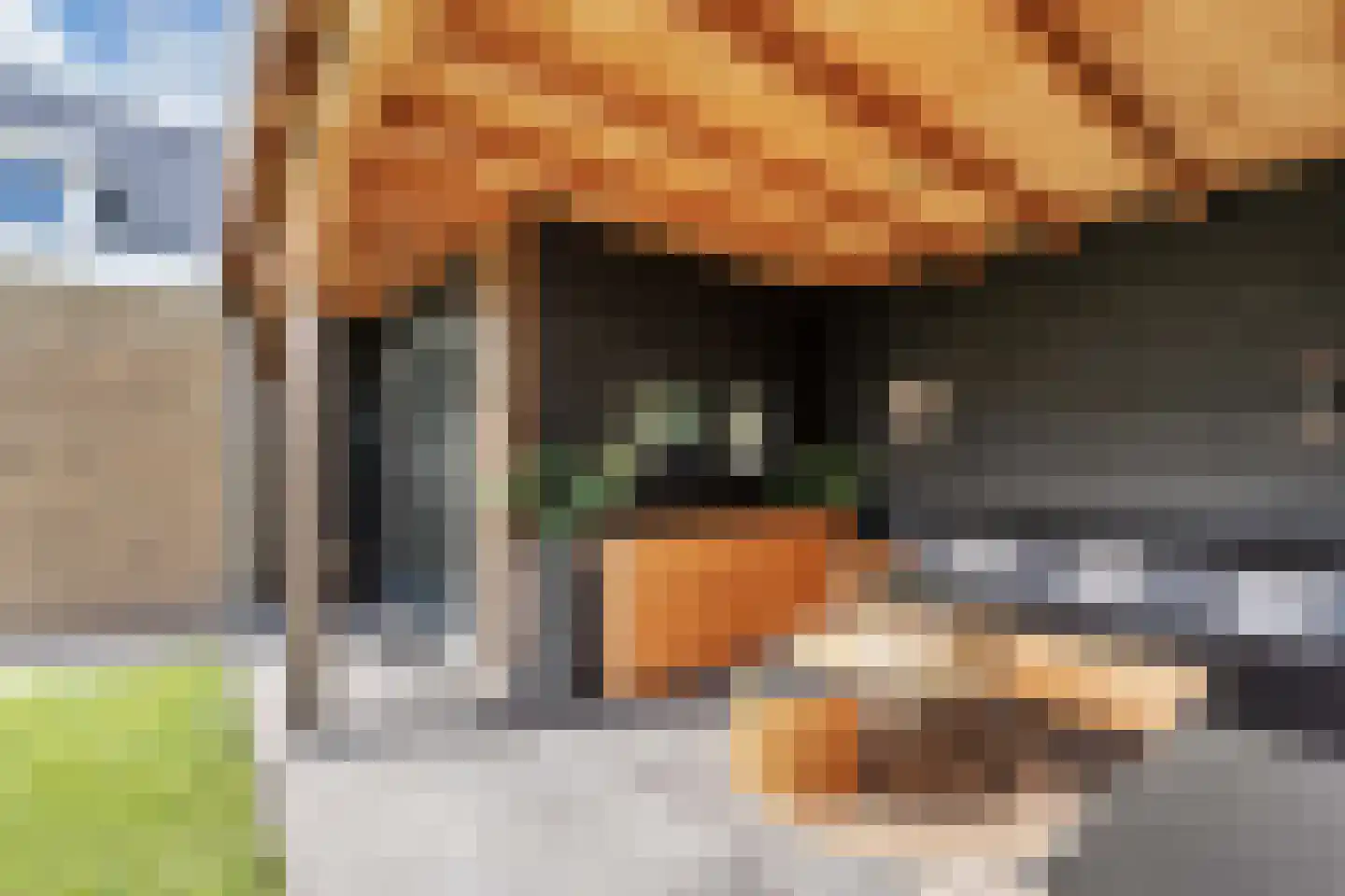 Feansterdyk 41 Akkrum thumbnail 59