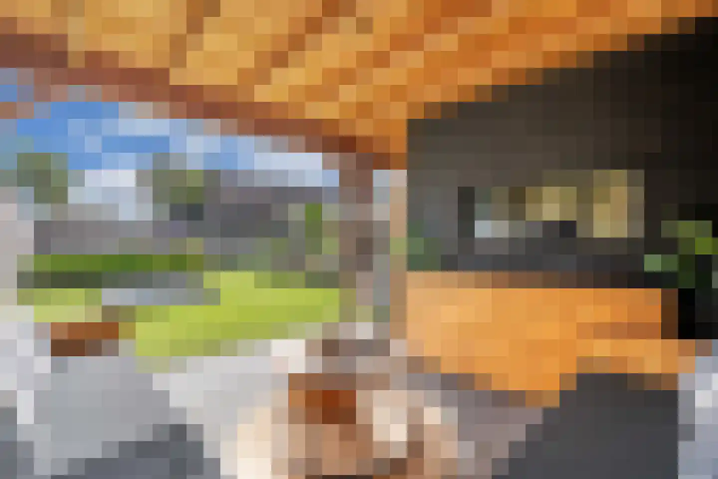 Feansterdyk 41 Akkrum thumbnail 60