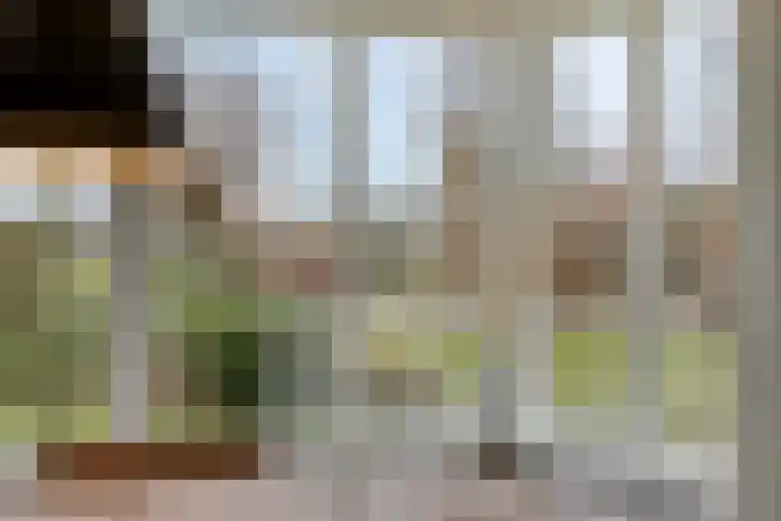 Feantersdyk 2 Earnewâld thumbnail 11