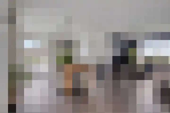 Feantersdyk 2 Earnewâld thumbnail 12