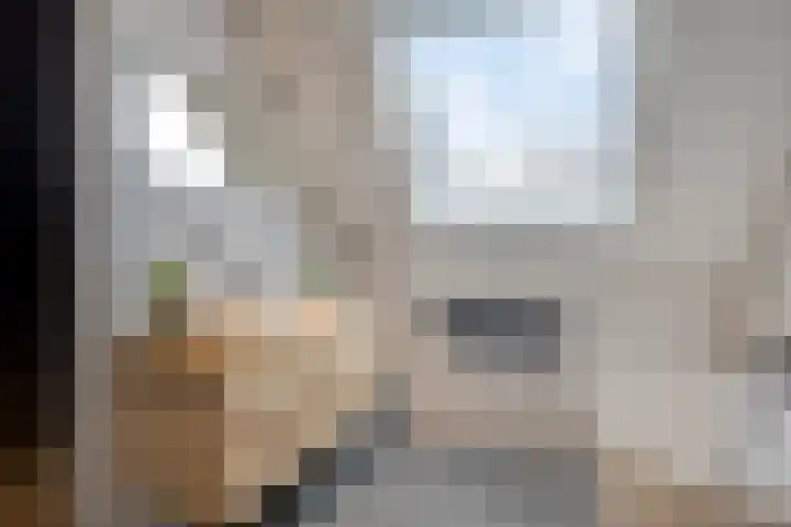 Feantersdyk 2 Earnewâld thumbnail 30