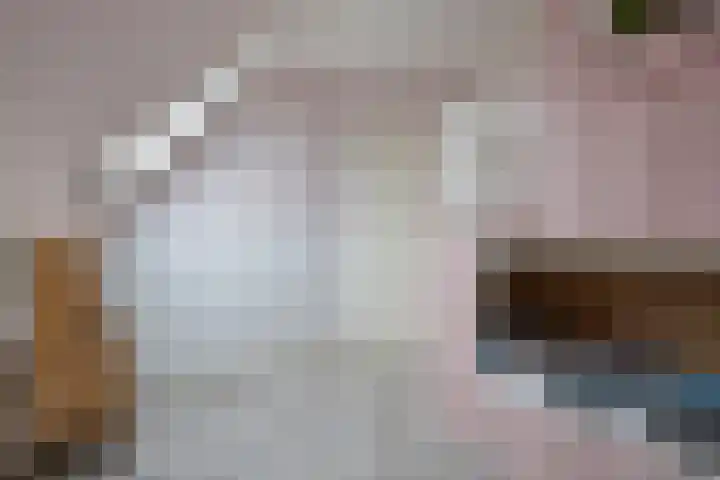 Feantersdyk 2 Earnewâld thumbnail 33