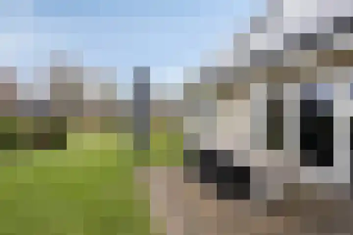 Feantersdyk 2 Earnewâld thumbnail 39