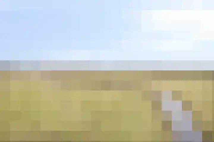Feantersdyk 2 Earnewâld thumbnail 48
