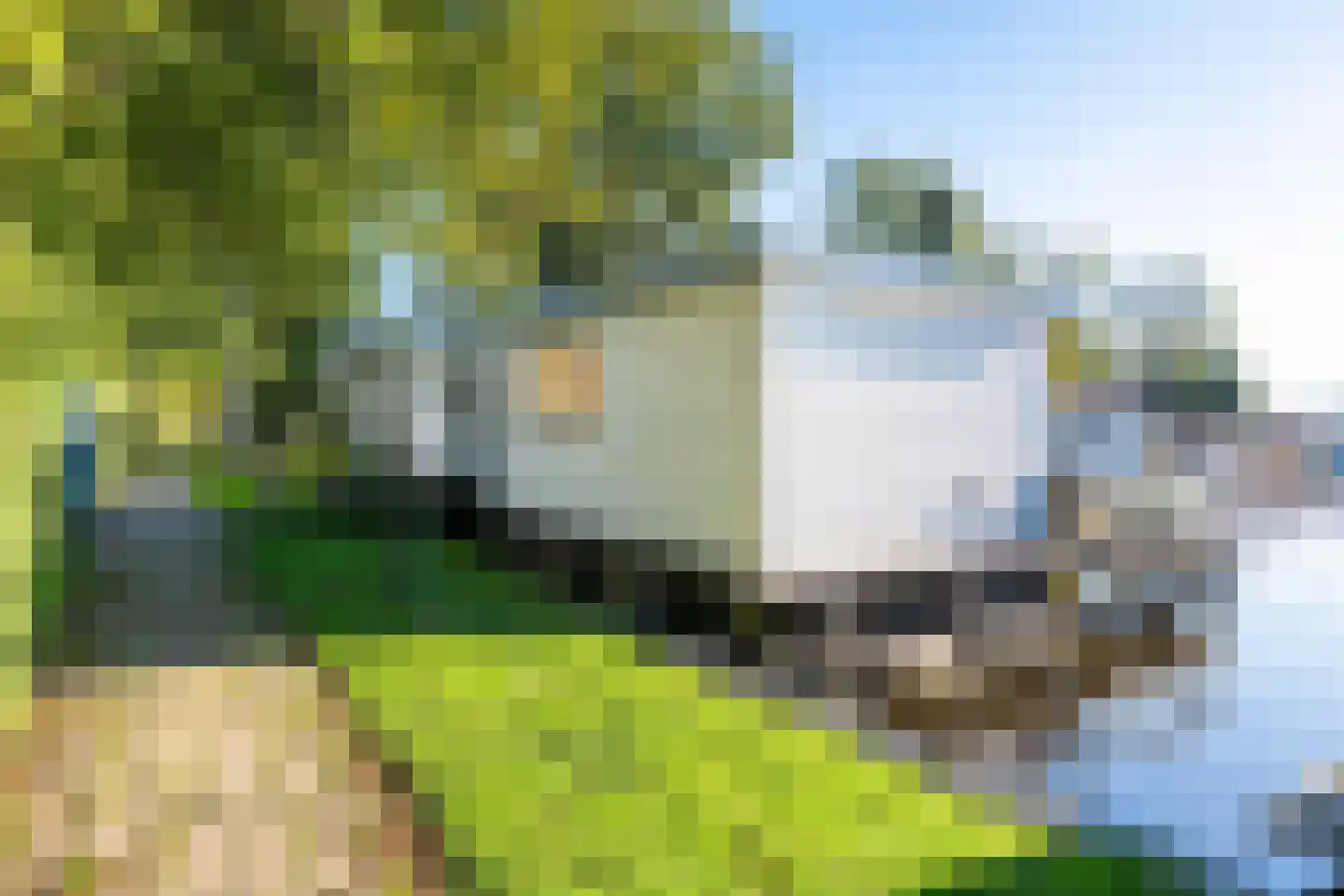 Feantersdyk 4 E Earnewâld thumbnail 32