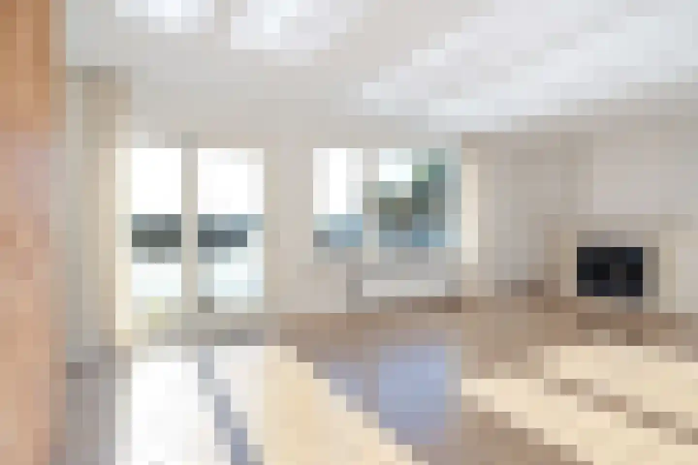Feantersdyk 4 E Earnewâld thumbnail 4