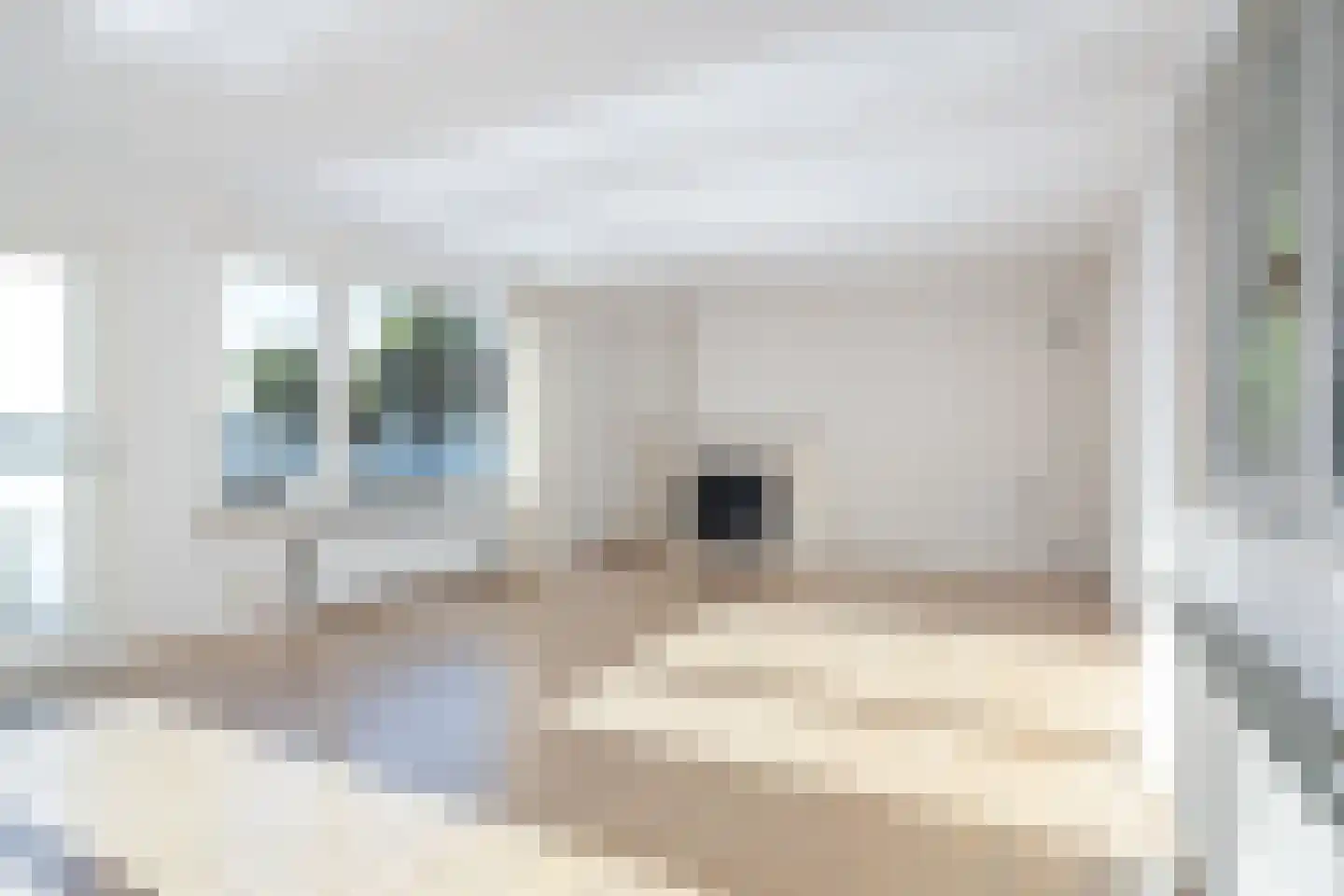 Feantersdyk 4 E Earnewâld thumbnail 5