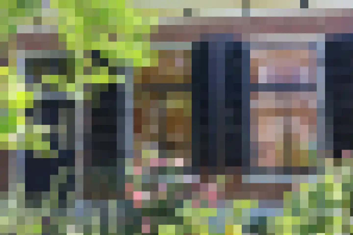Fearhûshoeke 4 Mantgum thumbnail 11