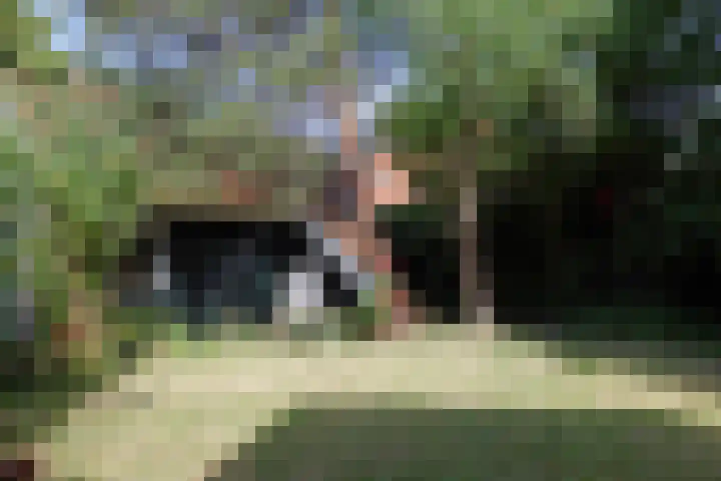Fearhûshoeke 4 Mantgum thumbnail 14