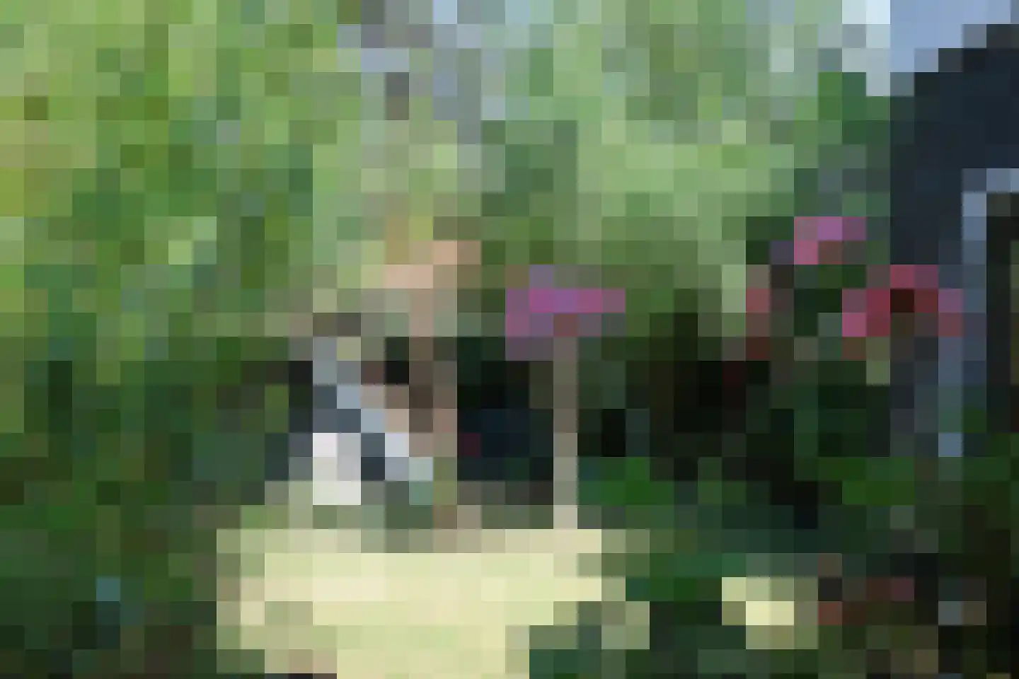 Fearhûshoeke 4 Mantgum thumbnail 28