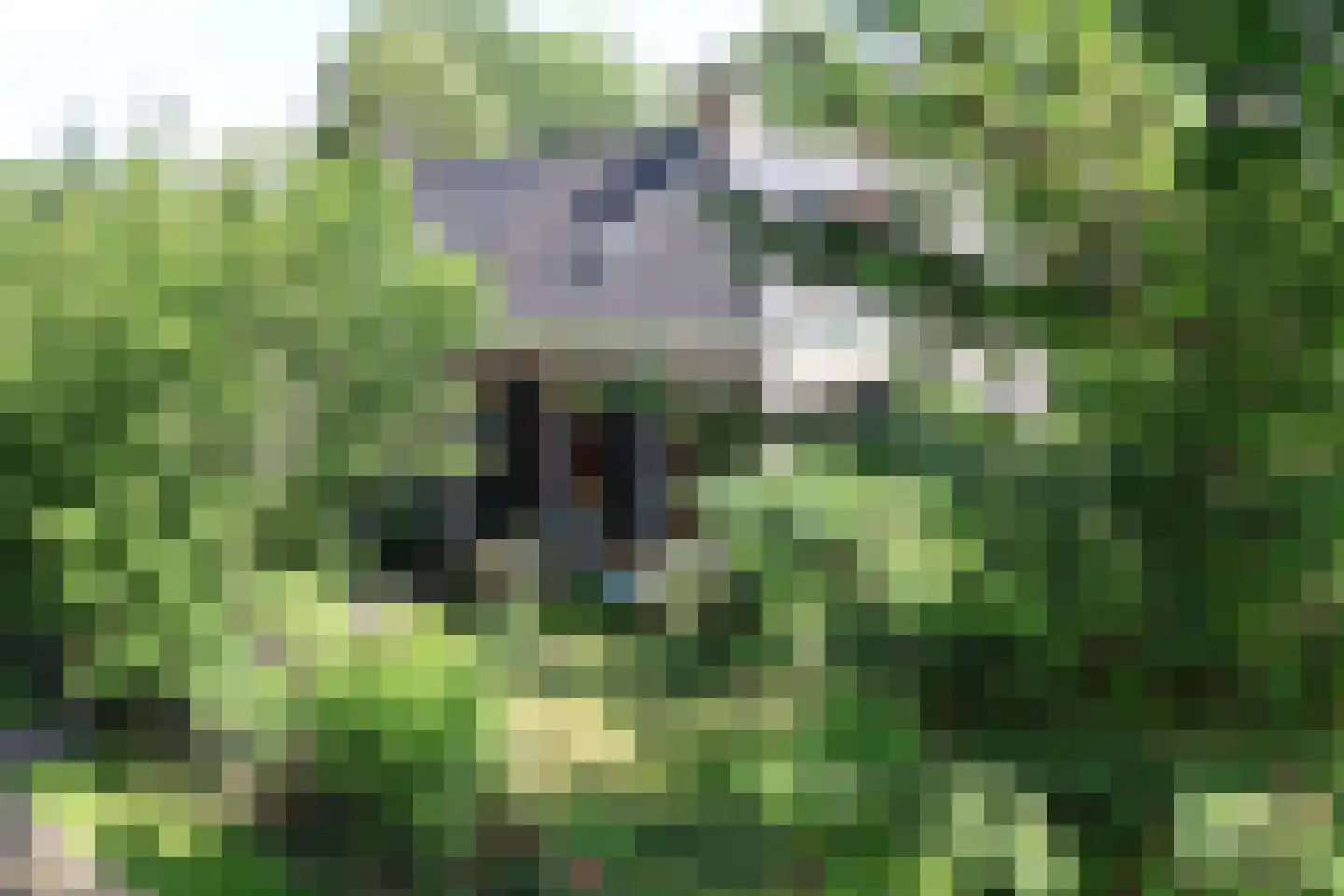 Fearhûshoeke 4 Mantgum thumbnail 4