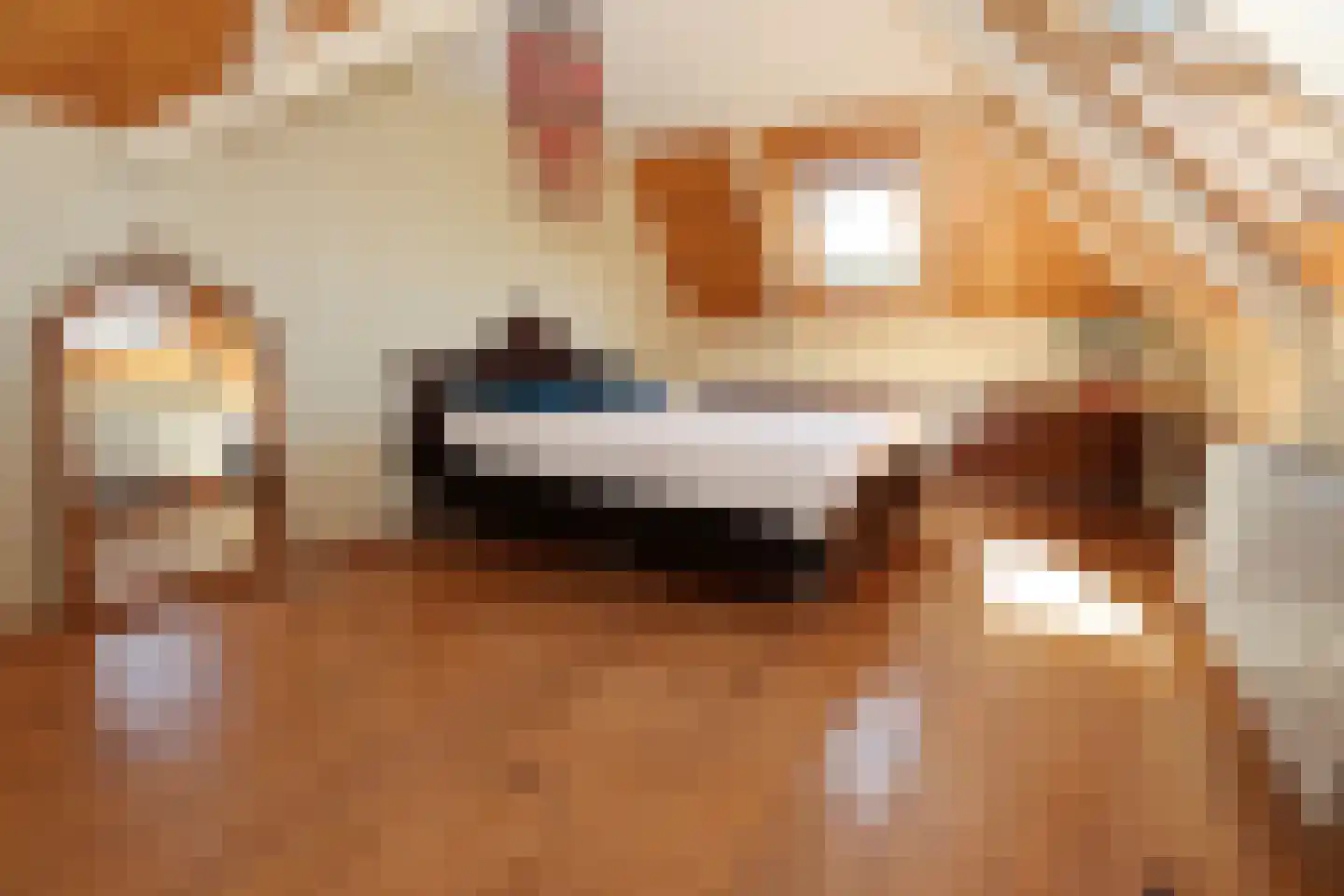 Fearhûshoeke 4 Mantgum thumbnail 40