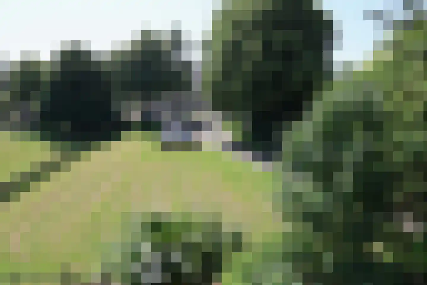 Fearhûshoeke 4 Mantgum thumbnail 42