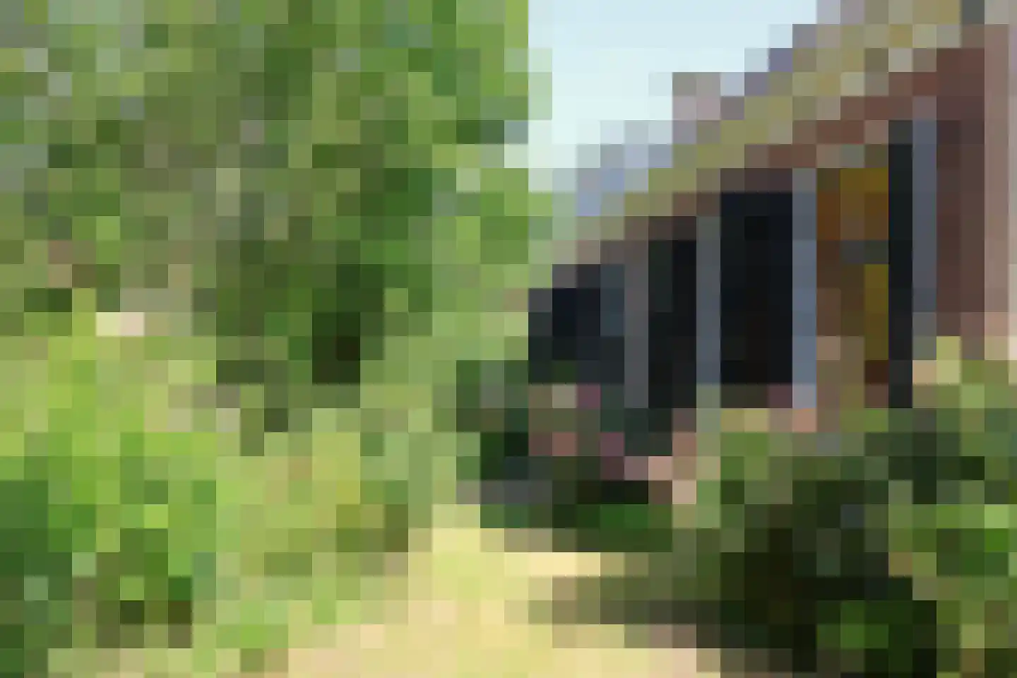 Fearhûshoeke 4 Mantgum thumbnail 8