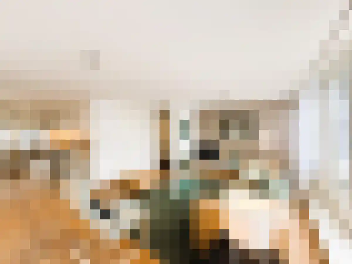 Februariplein 9 Amsterdam thumbnail 4