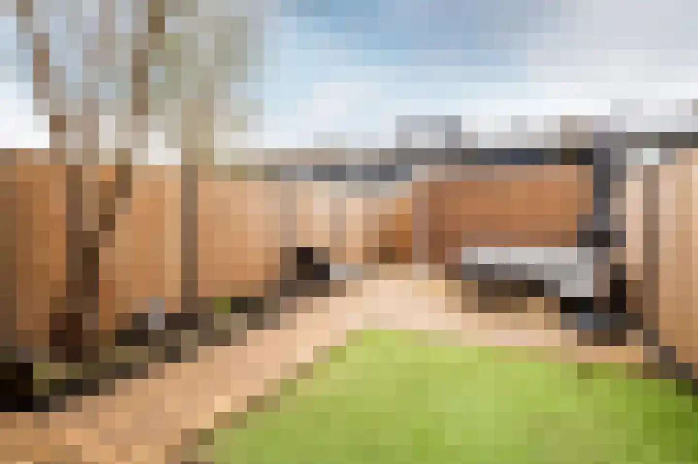 Februaristraat 104 Almere thumbnail 32