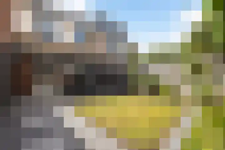 Fedde Schurerstraat 3 Hengelo thumbnail 30