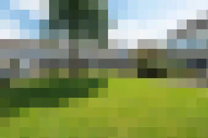 Fedde Schurerwei 4 Leeuwarden thumbnail 7