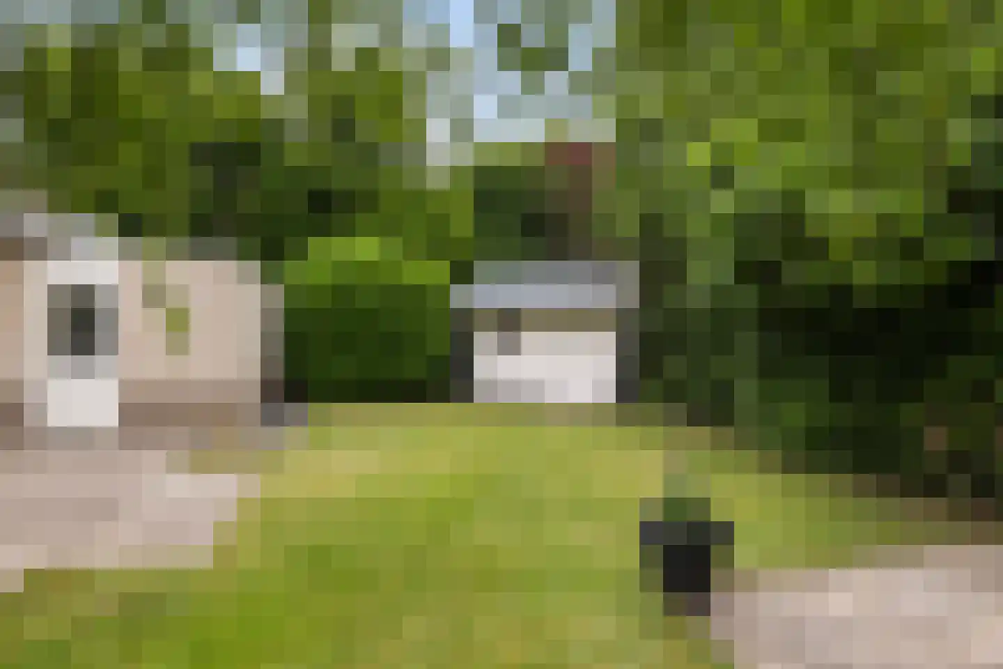 Feddemastate 15 Leeuwarden thumbnail 22