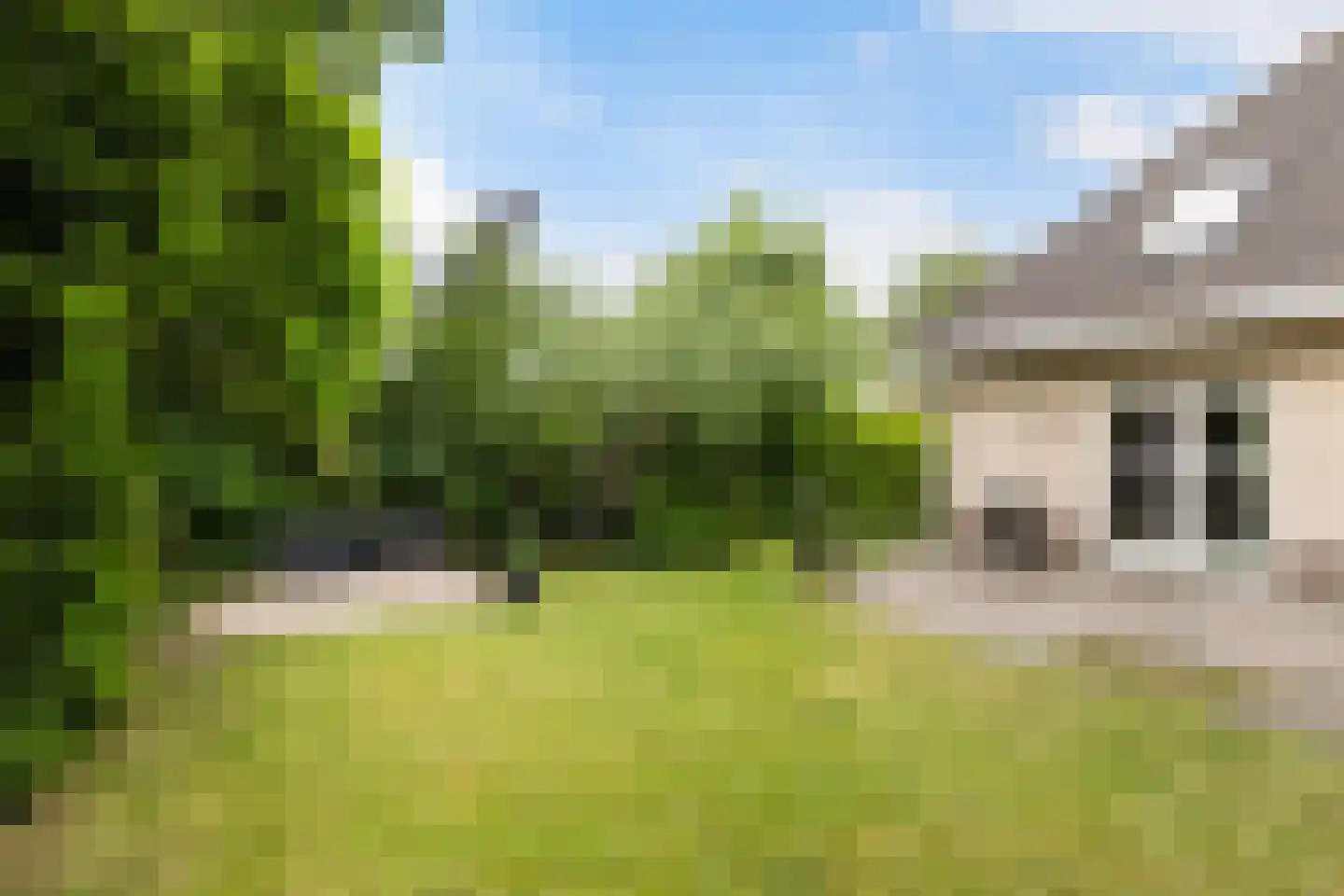 Feddemastate 15 Leeuwarden thumbnail 24