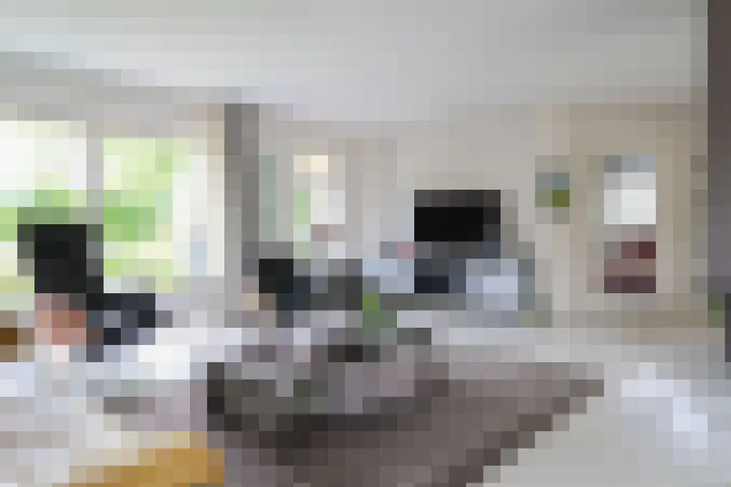 Feddemastate 4 Leeuwarden thumbnail 31
