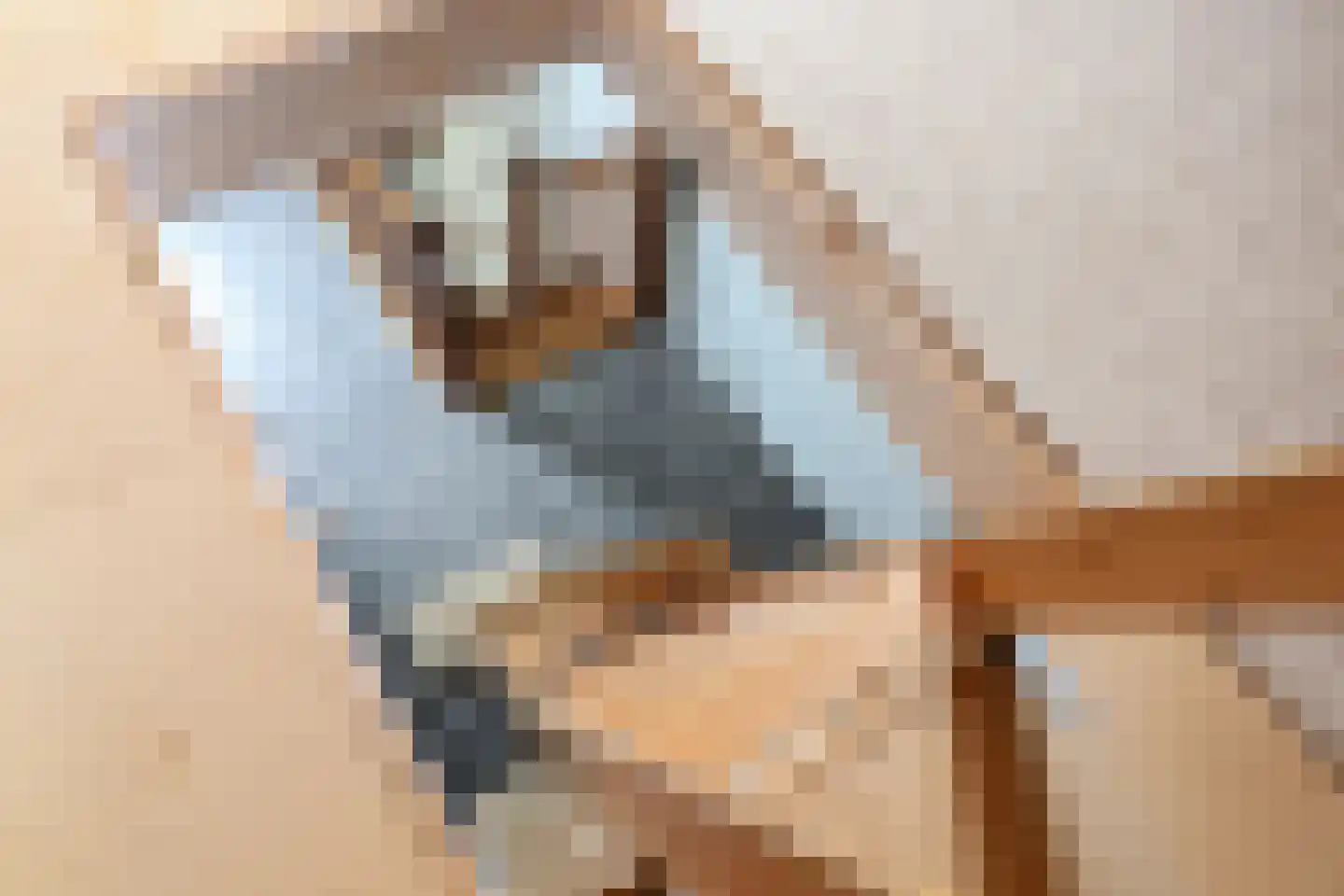 Feddemastate 4 Leeuwarden thumbnail 68