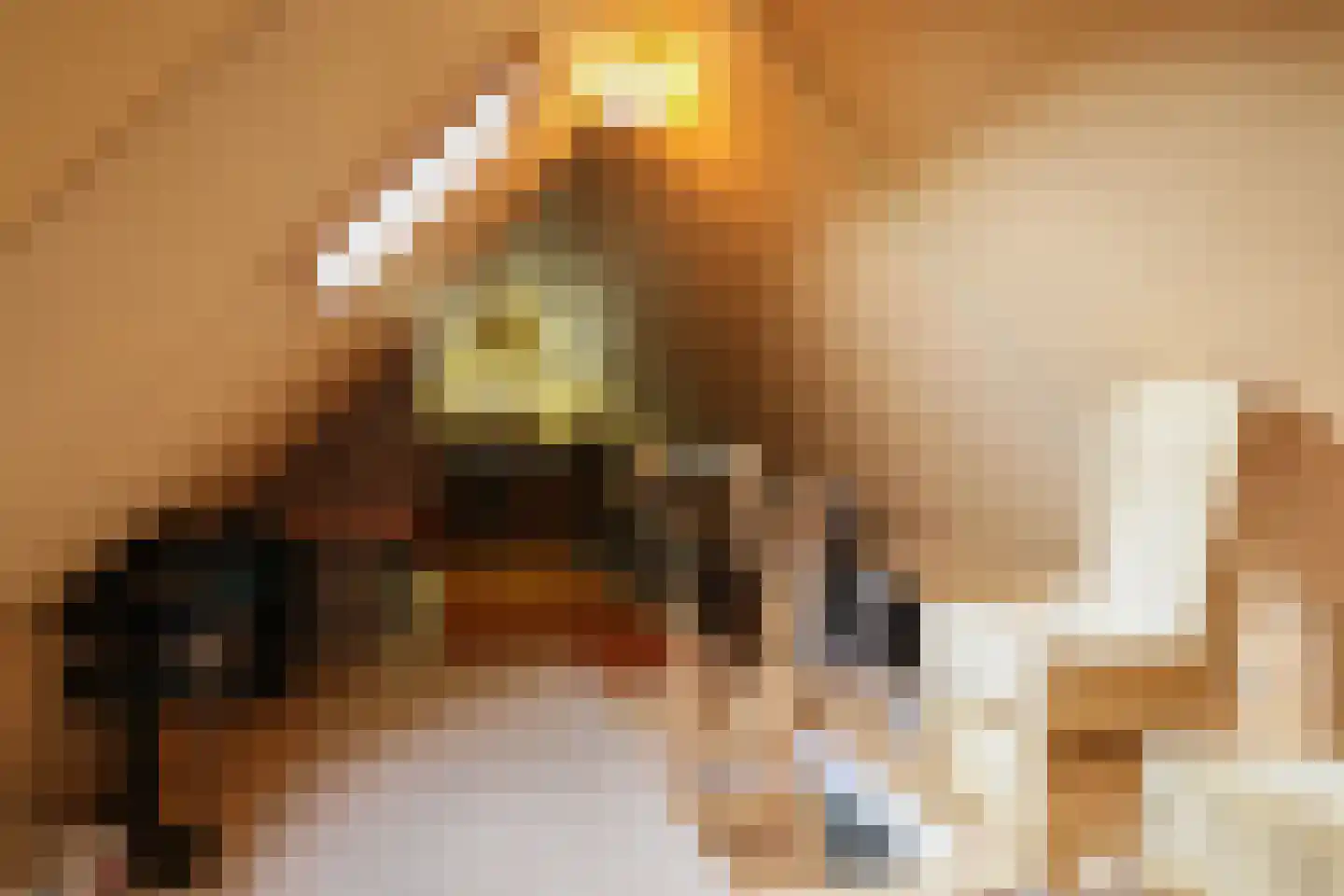 Feddemastate 4 Leeuwarden thumbnail 69