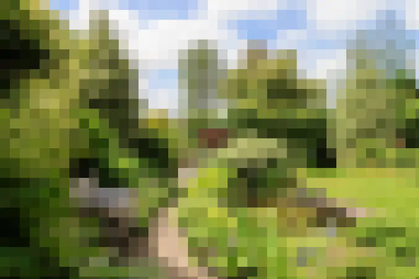 Feddemastate 4 Leeuwarden thumbnail 71