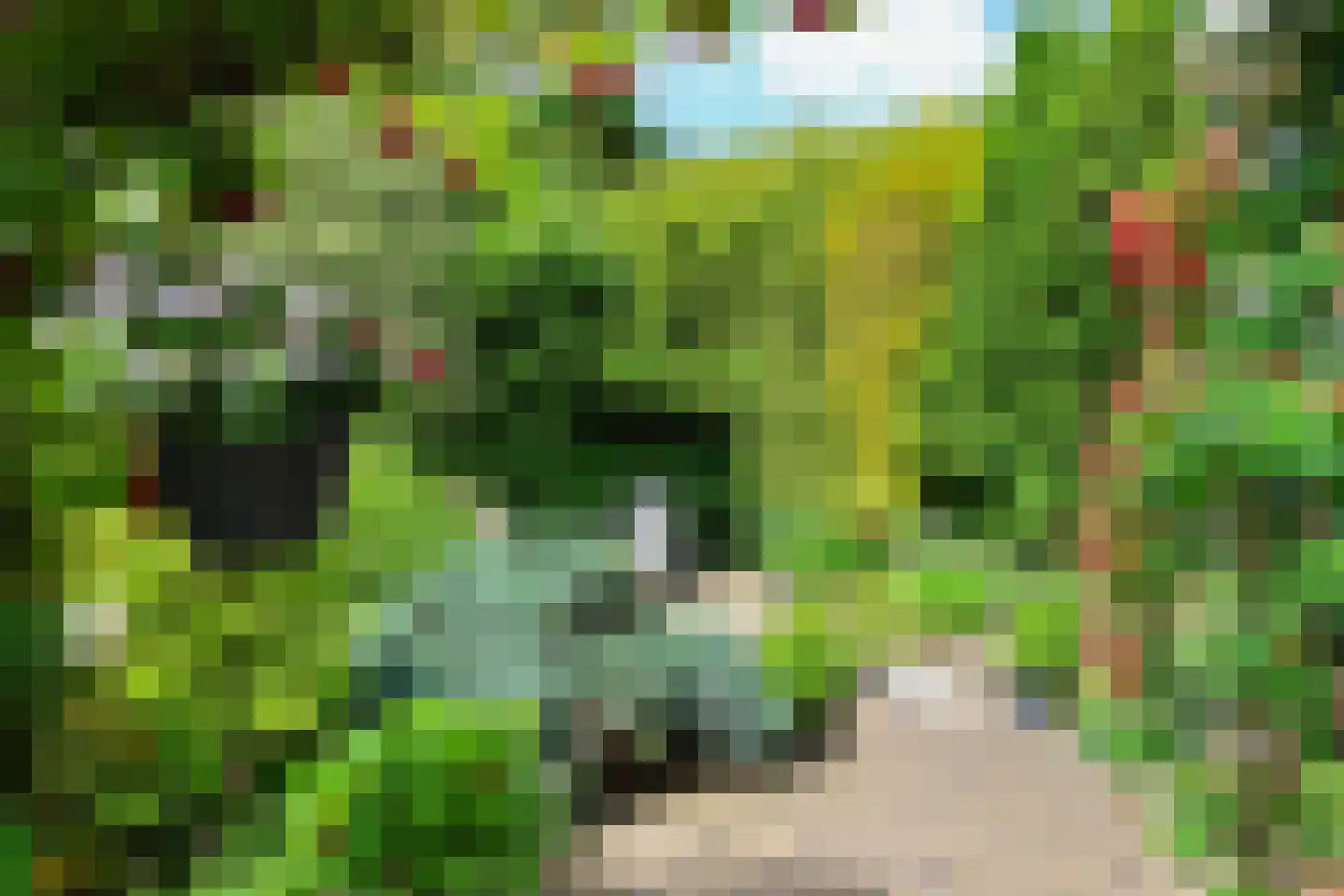 Feddemastate 4 Leeuwarden thumbnail 73