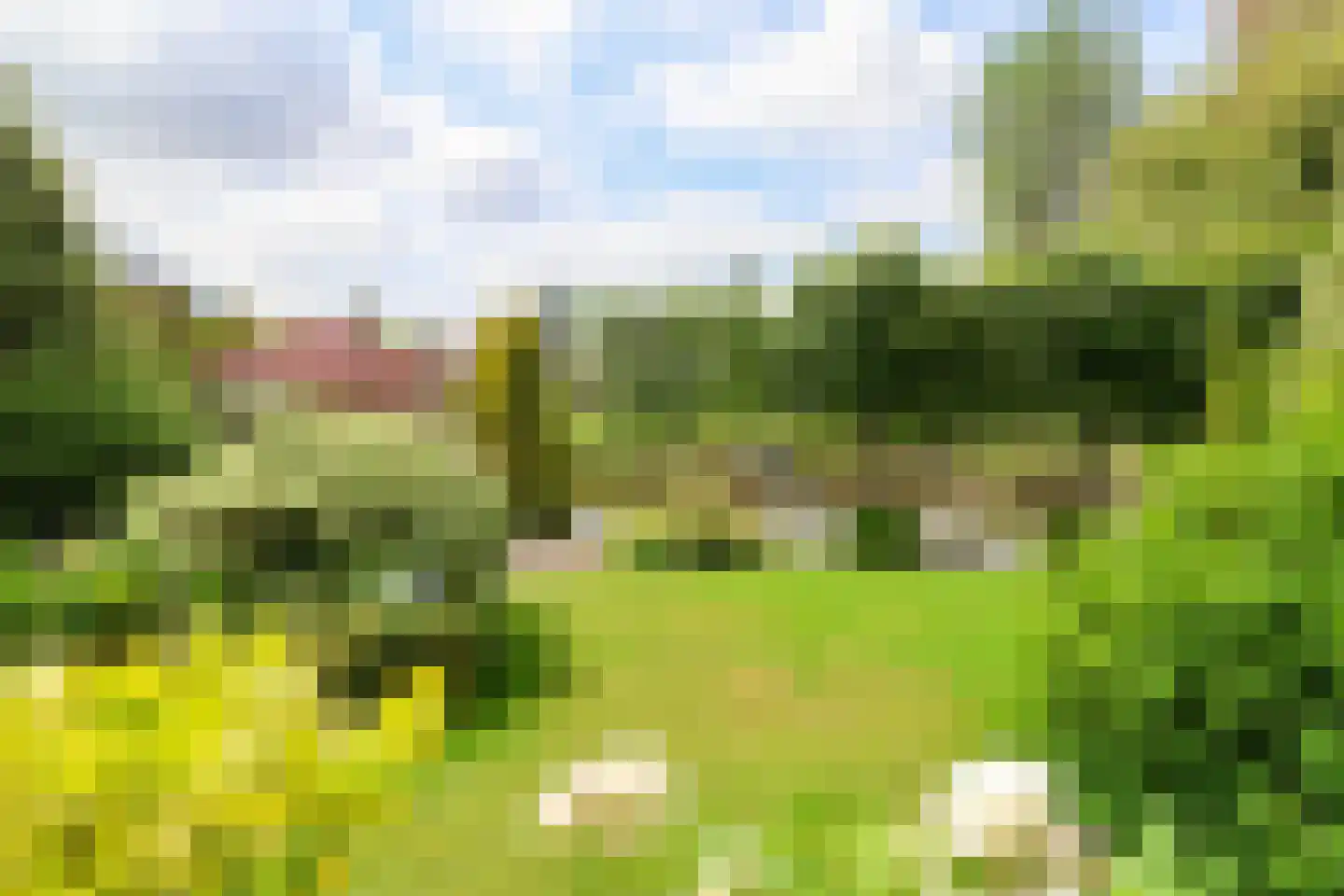 Feddemastate 4 Leeuwarden thumbnail 75