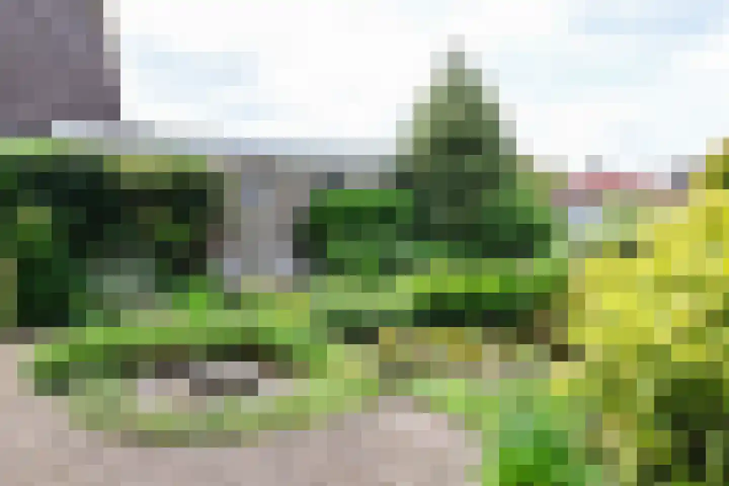 Feddemastate 4 Leeuwarden thumbnail 76