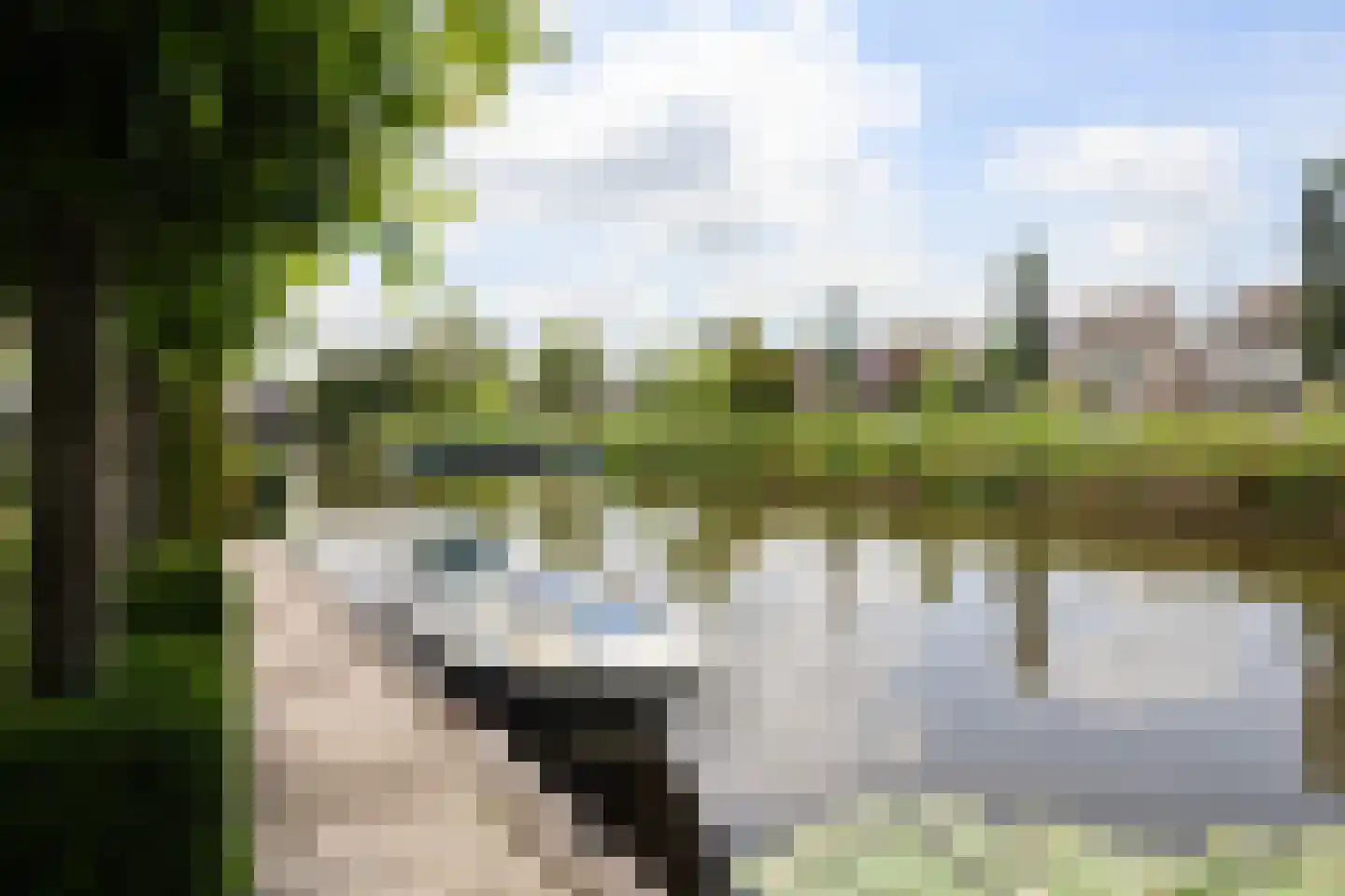 Feddemastate 4 Leeuwarden thumbnail 82