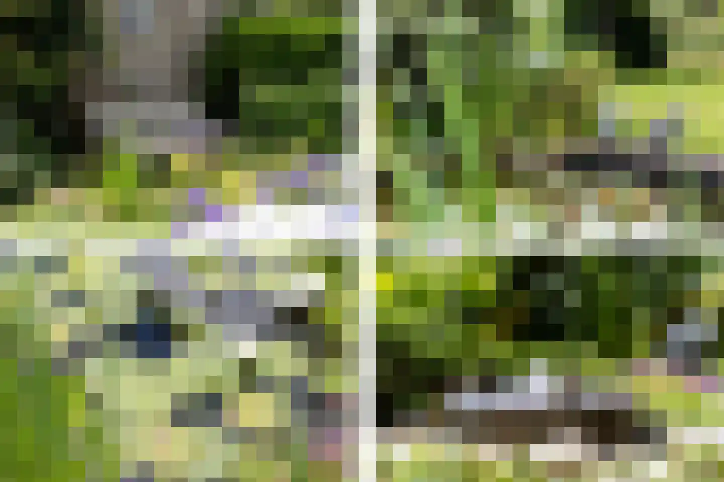 Feddemastate 4 Leeuwarden thumbnail 89