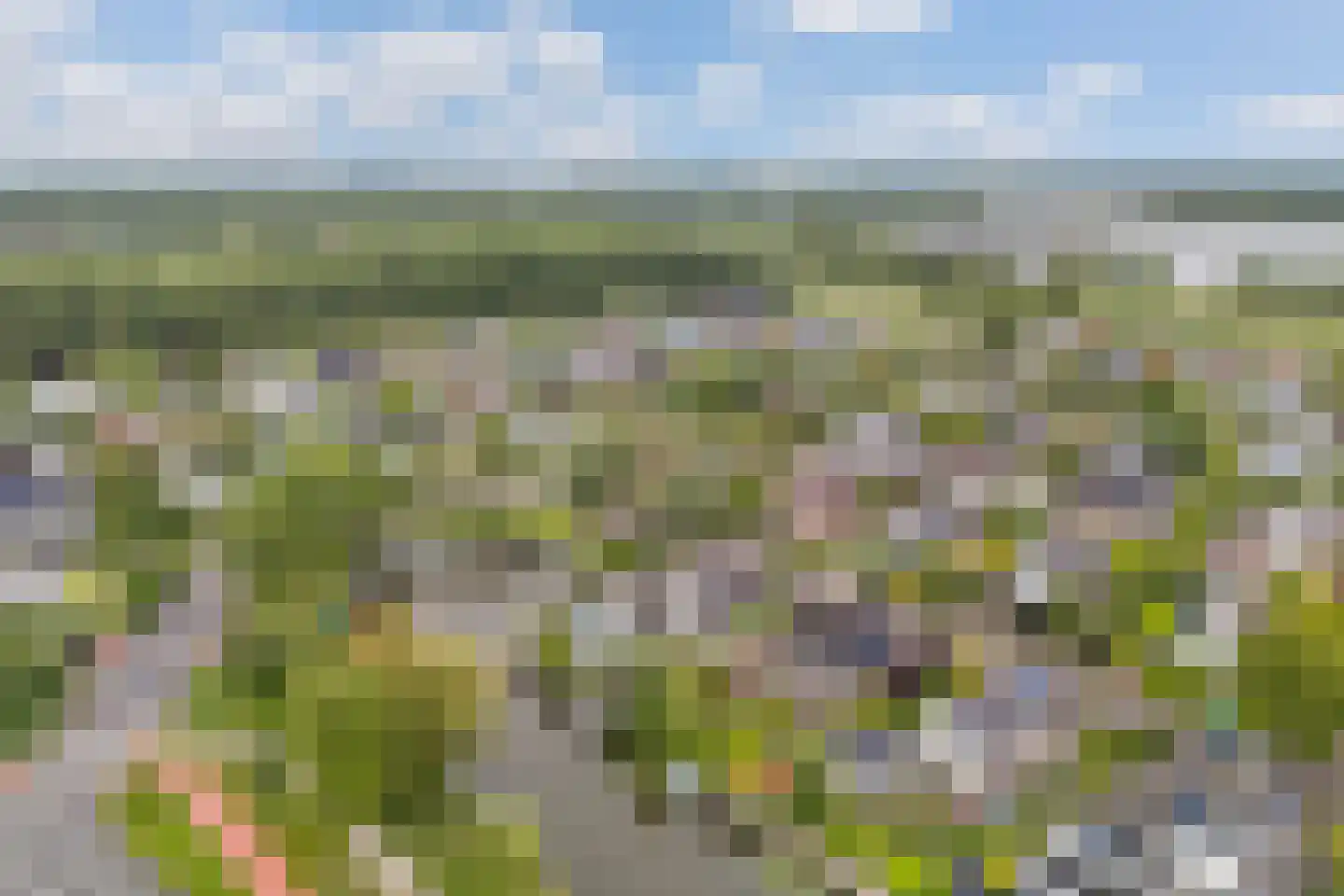 Feddemastate 4 Leeuwarden thumbnail 90