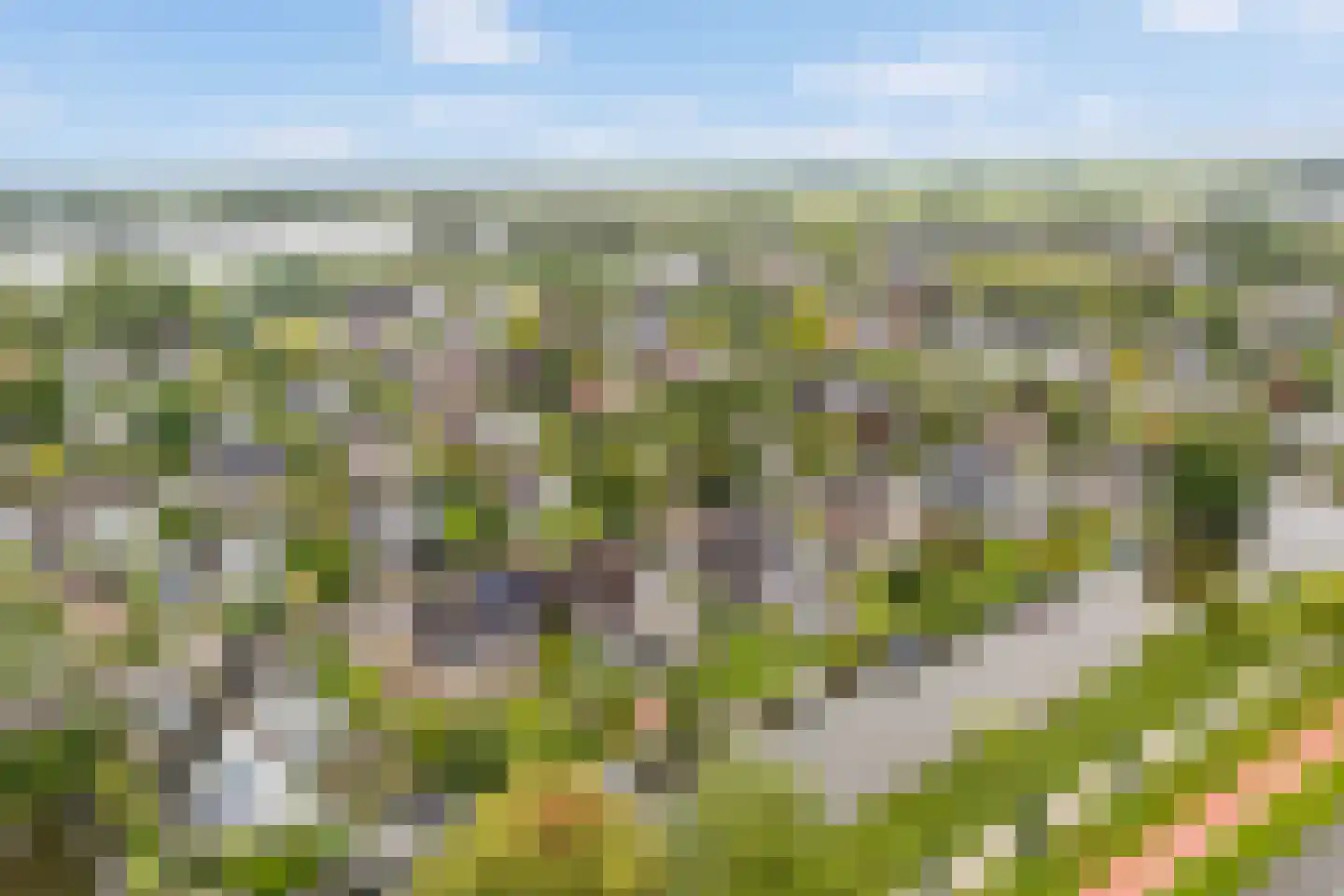 Feddemastate 4 Leeuwarden thumbnail 91