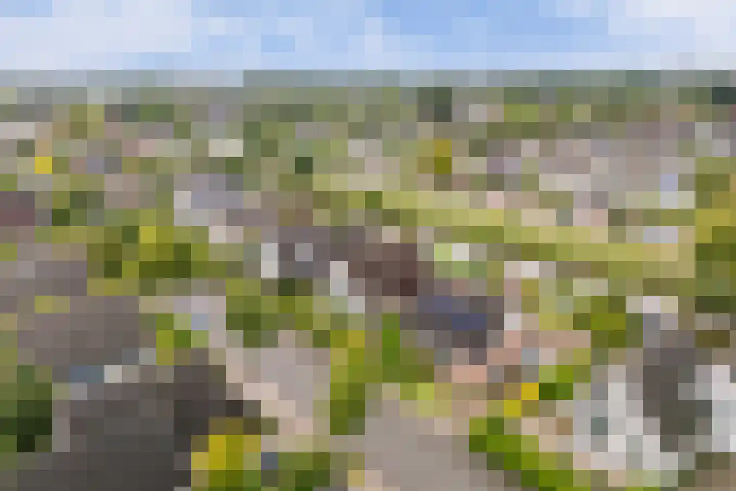 Feddemastate 4 Leeuwarden thumbnail 92