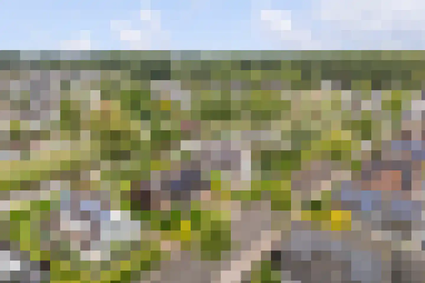 Feddemastate 4 Leeuwarden thumbnail 93