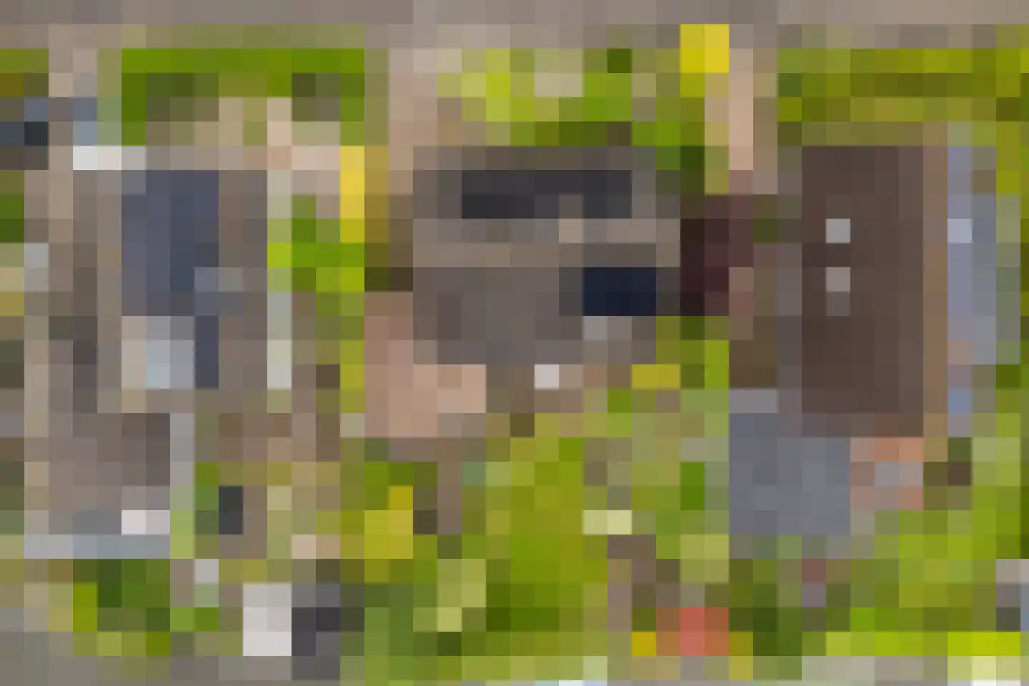 Feddemastate 4 Leeuwarden thumbnail 94