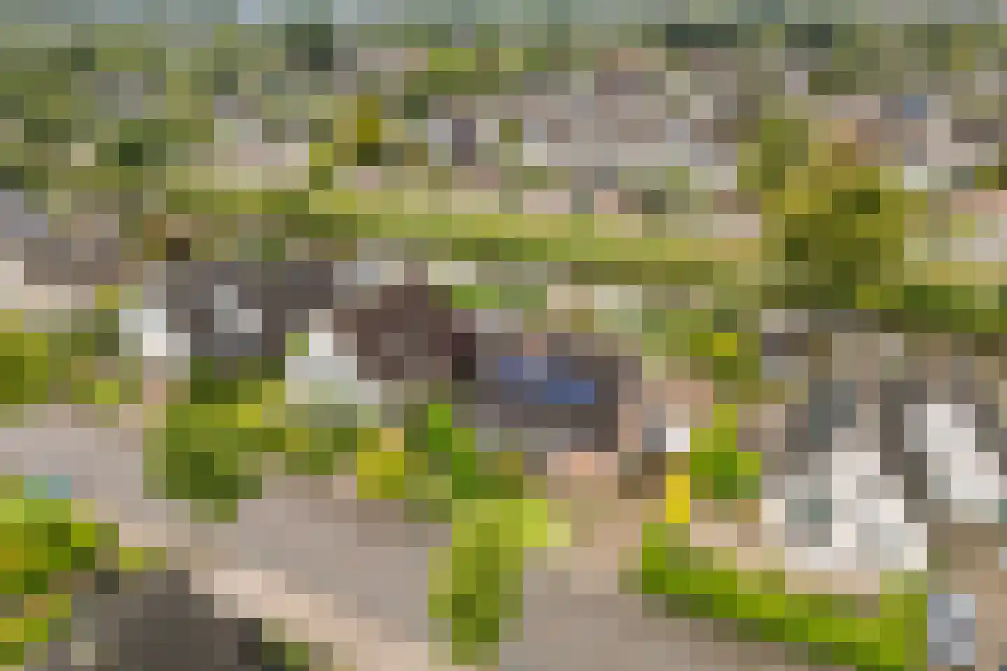 Feddemastate 4 Leeuwarden thumbnail 95