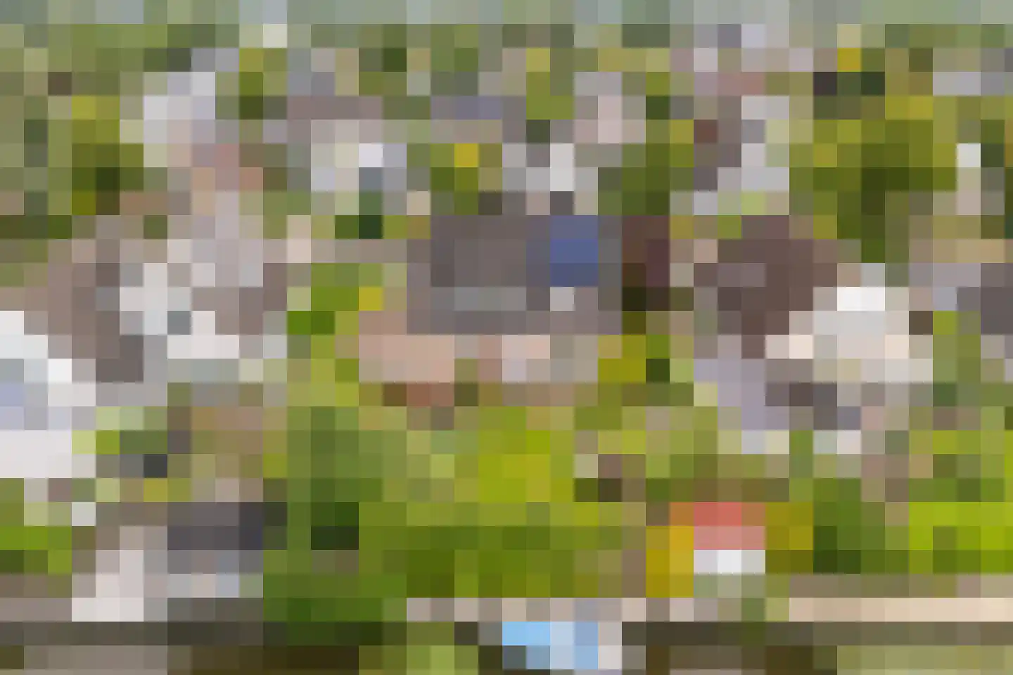 Feddemastate 4 Leeuwarden thumbnail 96
