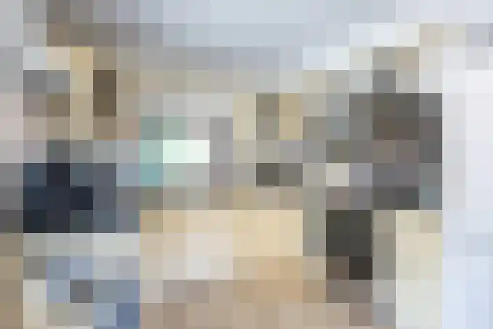 Feddemaweg 3 Kloosterburen thumbnail 13