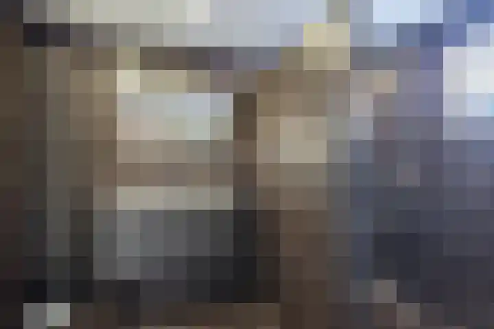 Feddemaweg 3 Kloosterburen thumbnail 21