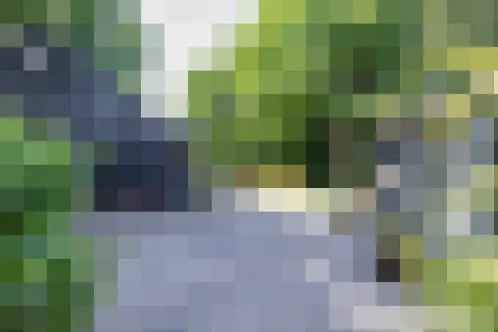 Feddemaweg 3 Kloosterburen thumbnail 37